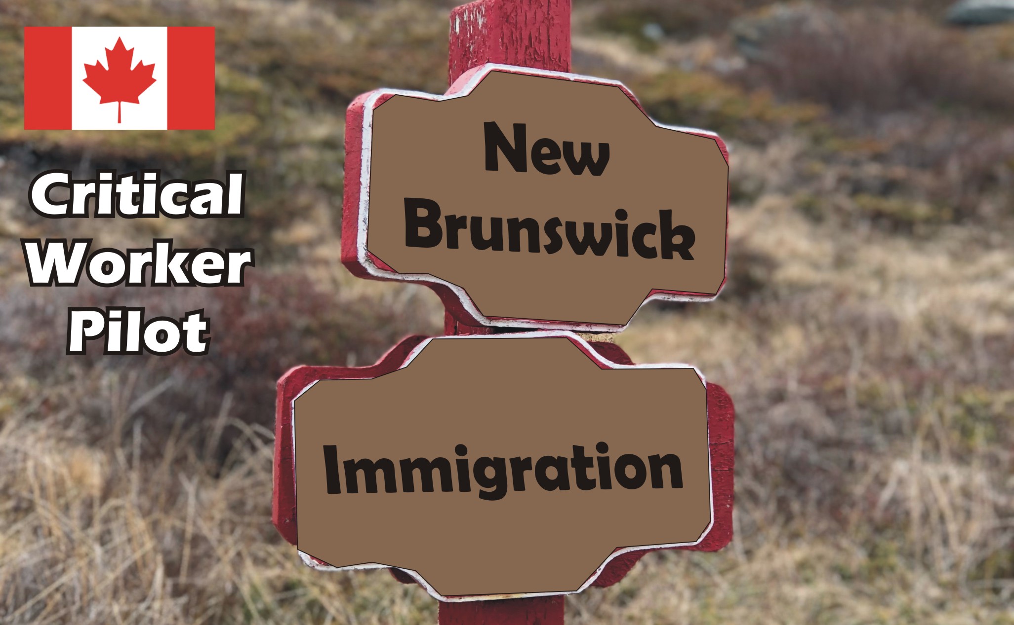 new brunswick critical worker pilot